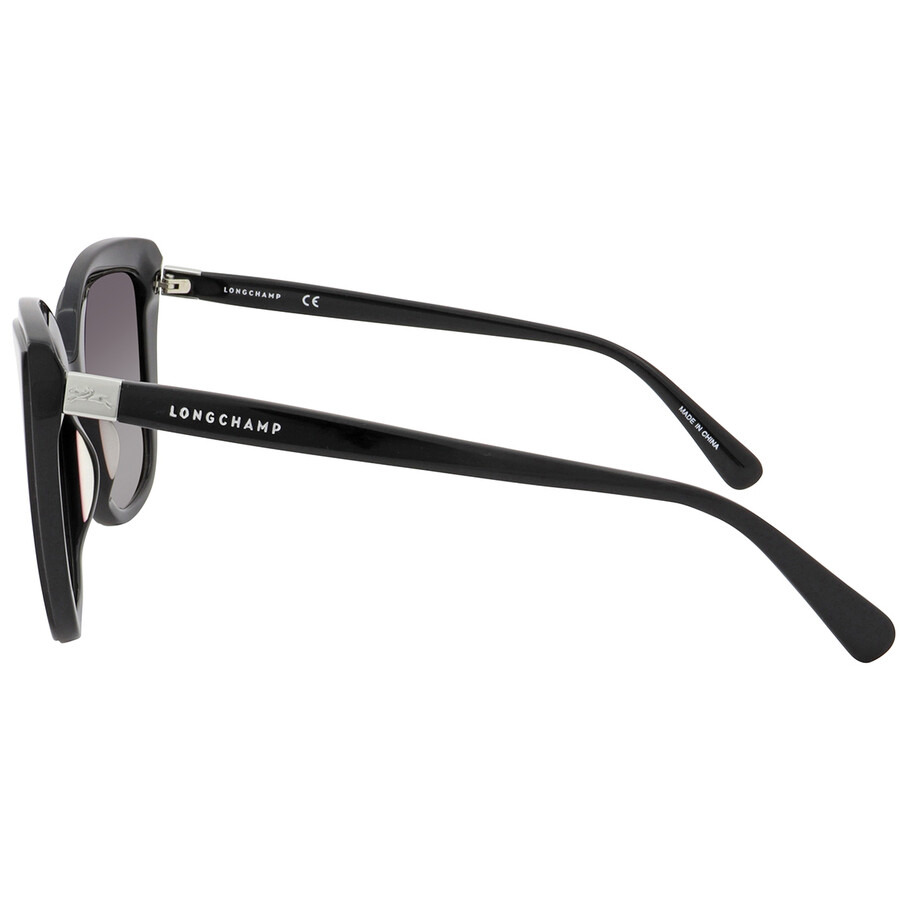 Longchamp Grey Gradient Cat Eye Ladies Sunglasses LO669S 001 56 - 4