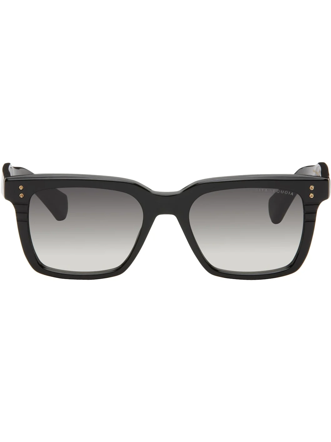 Black SEQUOIA Sunglasses - 1