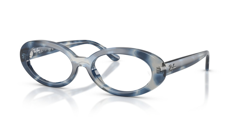 RB2223V OPTICS 1