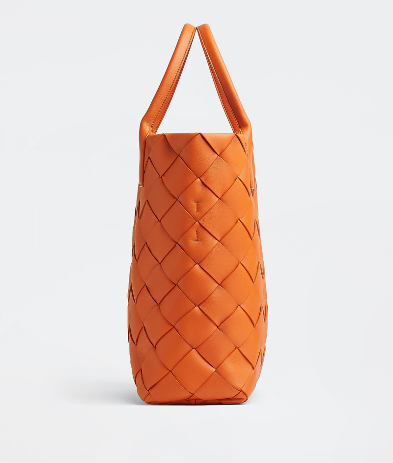 Bottega Veneta Cabat outlook