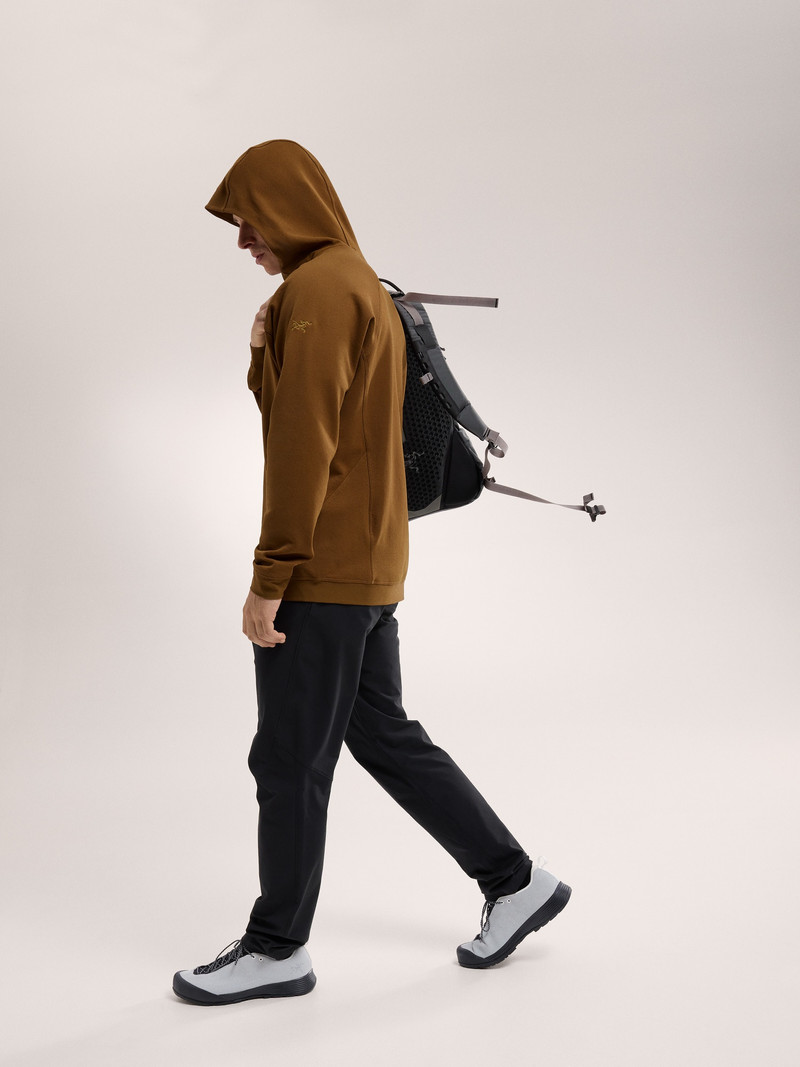 Arc'teryx Rethel Hoody outlook