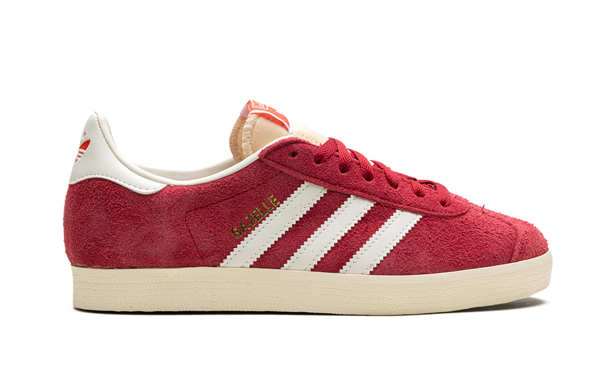 Gazelle - 6