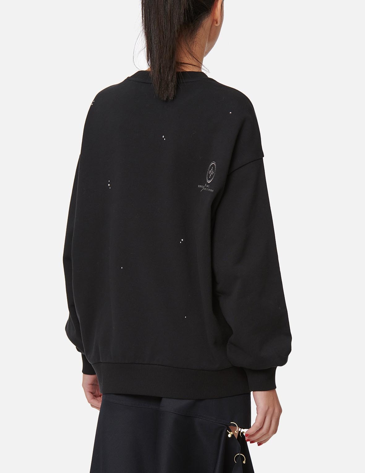 Crystal Logo Sweatshirt - 4