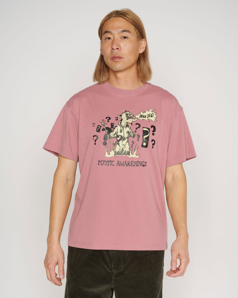 Mystic Awakenings T-shirt - Rose Taupe 4