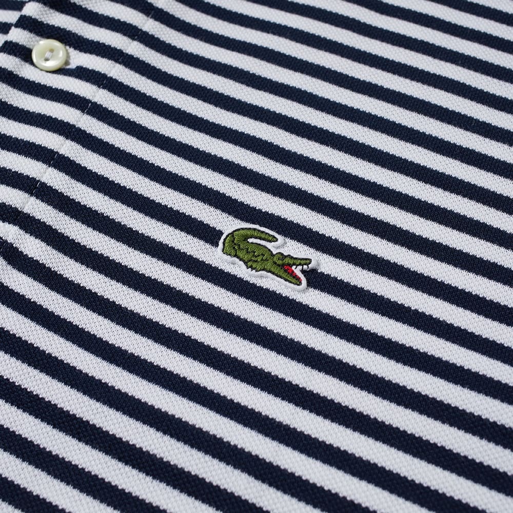 Lacoste Stripe Polo - 3