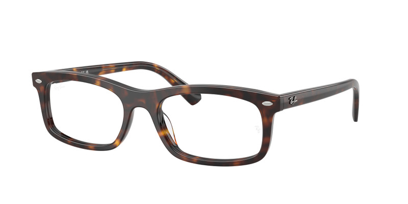 RB5450 OPTICS 3