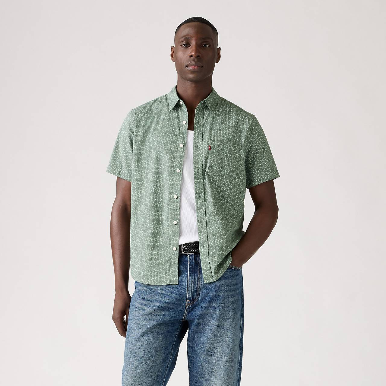 SHORT-SLEEVE CLASSIC STANDARD FIT SHIRT - 2