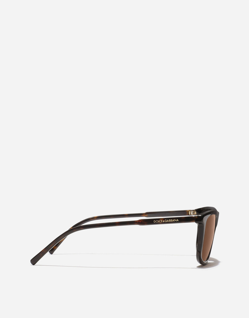 Everyday Sunglasses 3