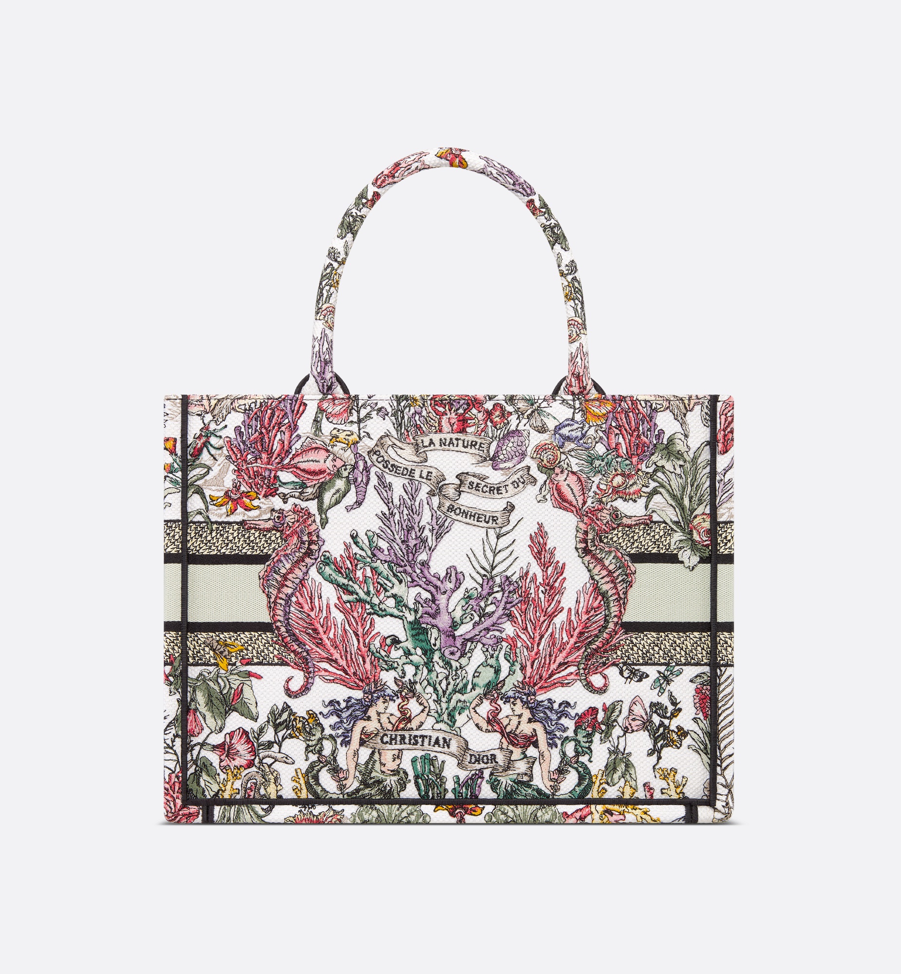 Medium Dior Book Tote - 2