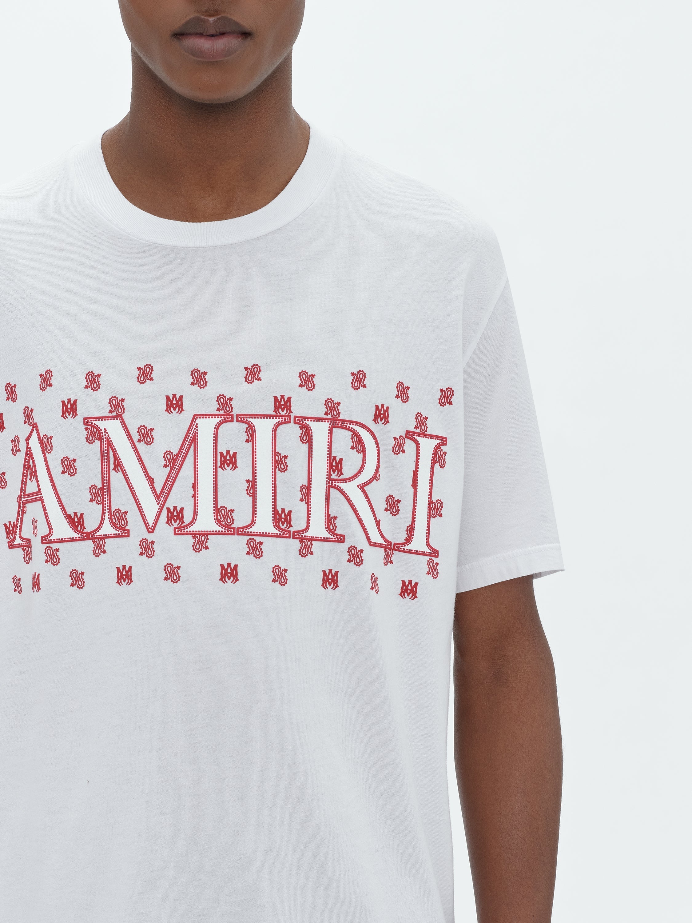 M.A. PAISLEY TEE - 5