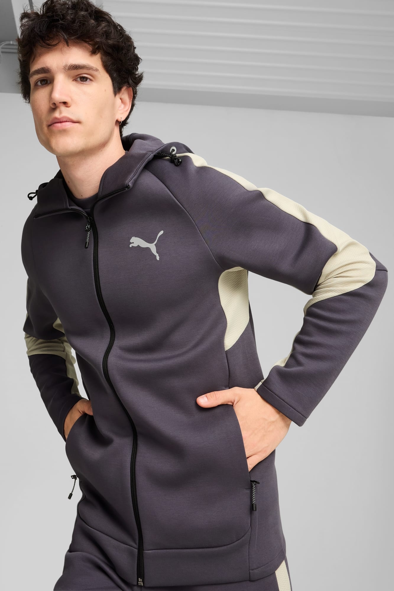 EVOSTRIPE Full-Zip Men's Hoodie - 3