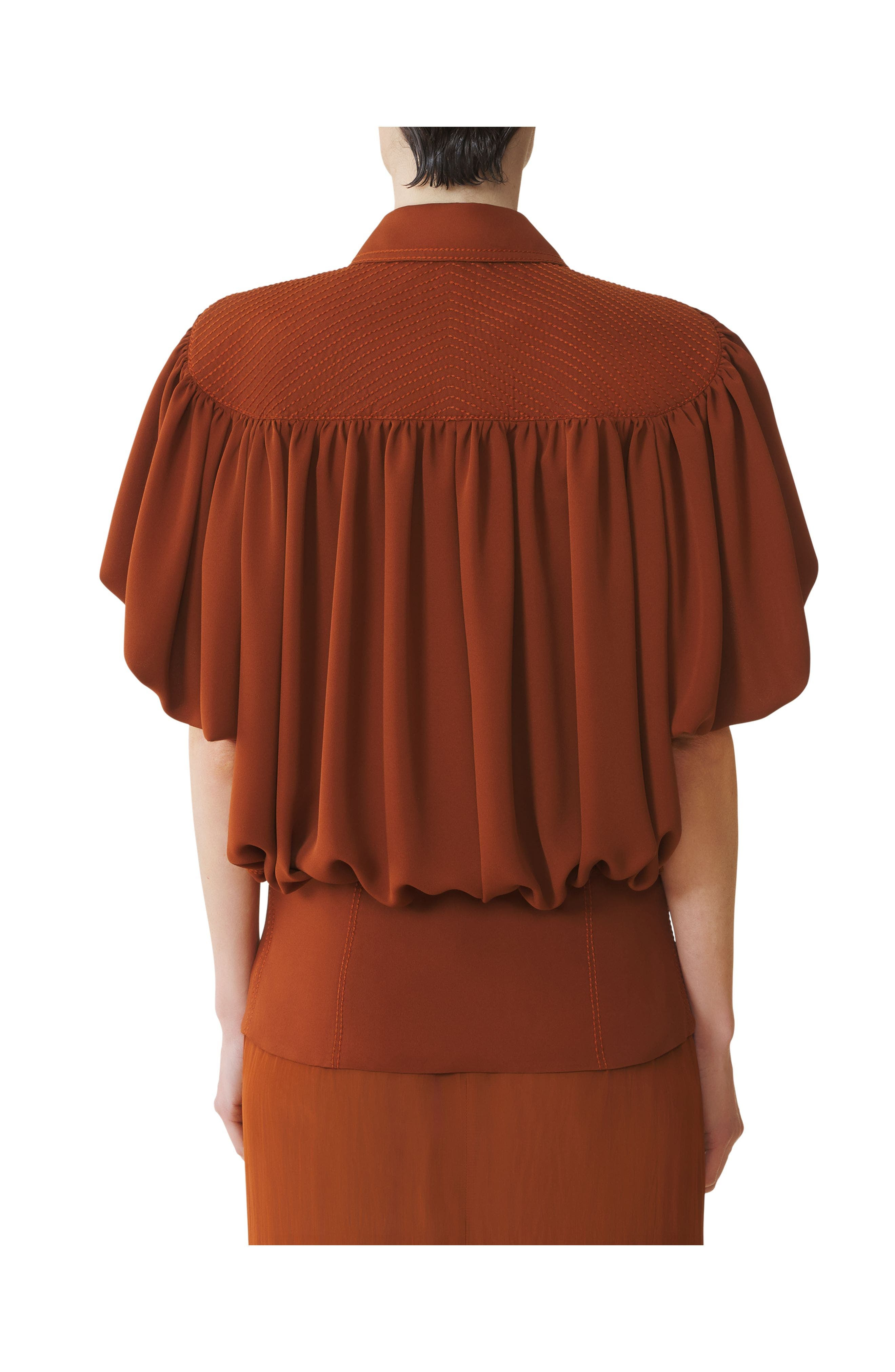 Lanvin Top In Silk Georgette in Chestnuts at Nordstrom - 4