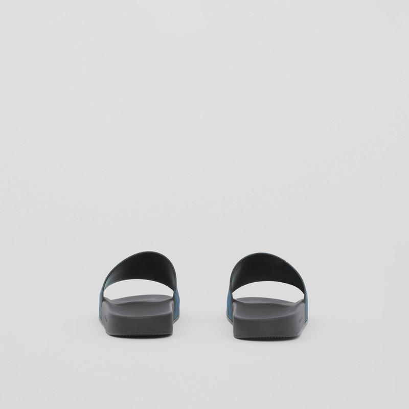 Check Print Slides 5