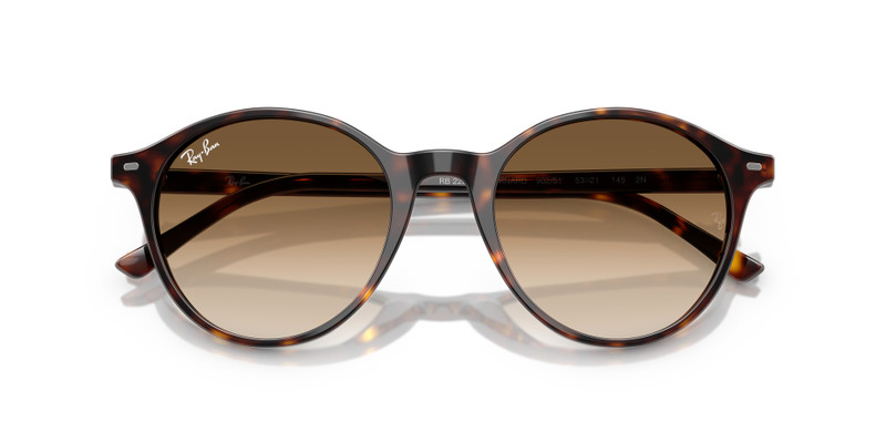 Ray-Ban BERNARD outlook