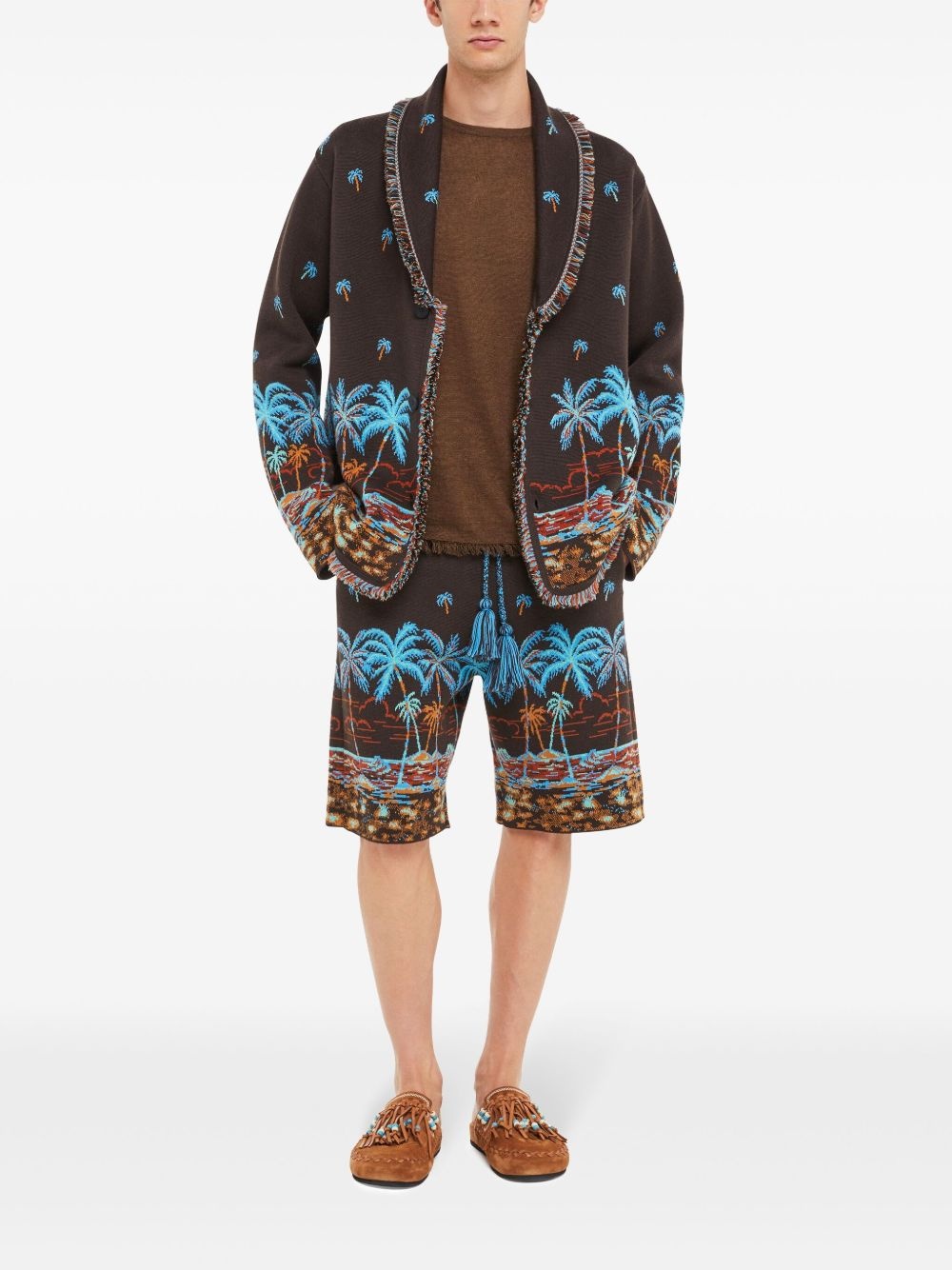 The Tale Of Hawaiian shorts - 2