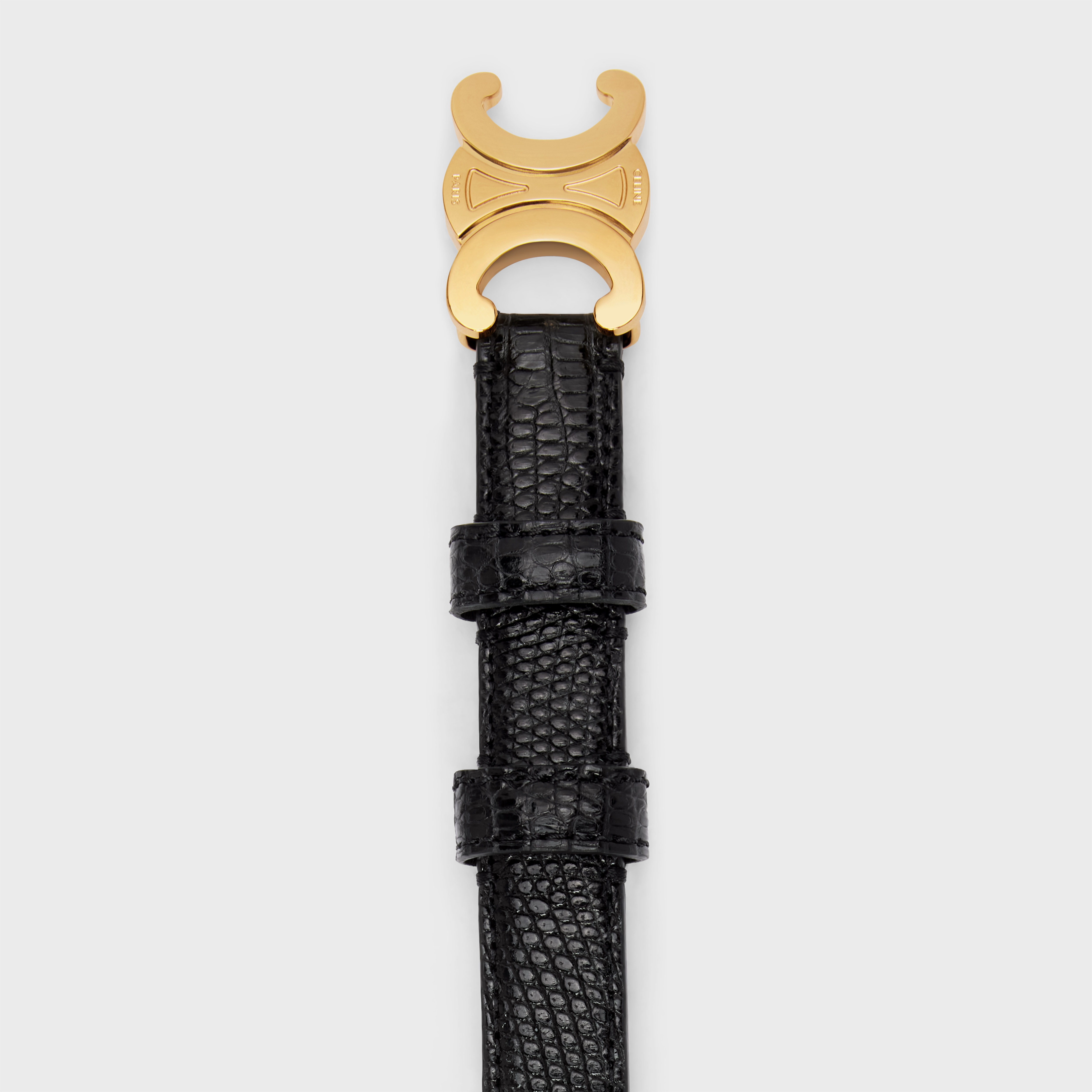 Small Triomphe Belt in LIZARD - 2