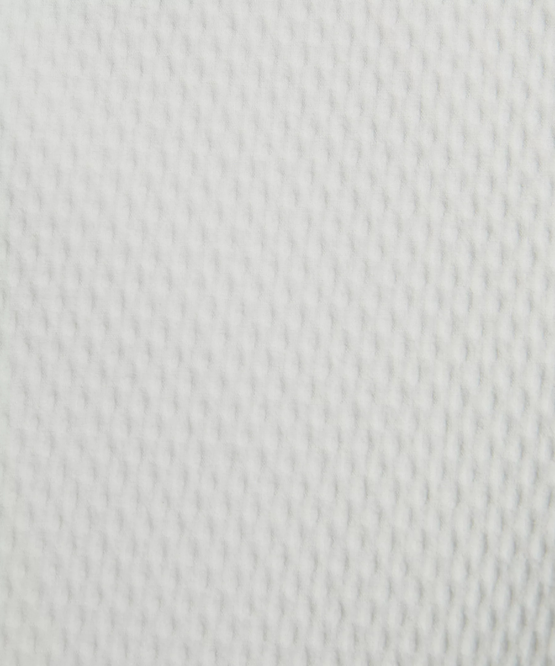 License to Train Textured Jogger *Regular - 10
