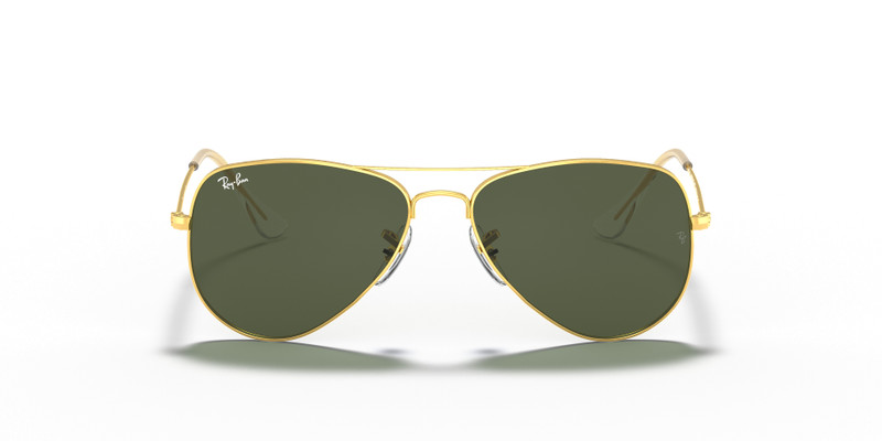 AVIATOR EXTRA 소형 4
