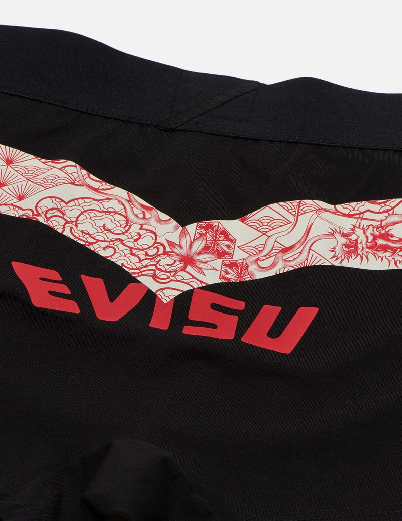 DRAGON AND BROCADE-PATTERN DAICOCK PRINT TRUNKS 5