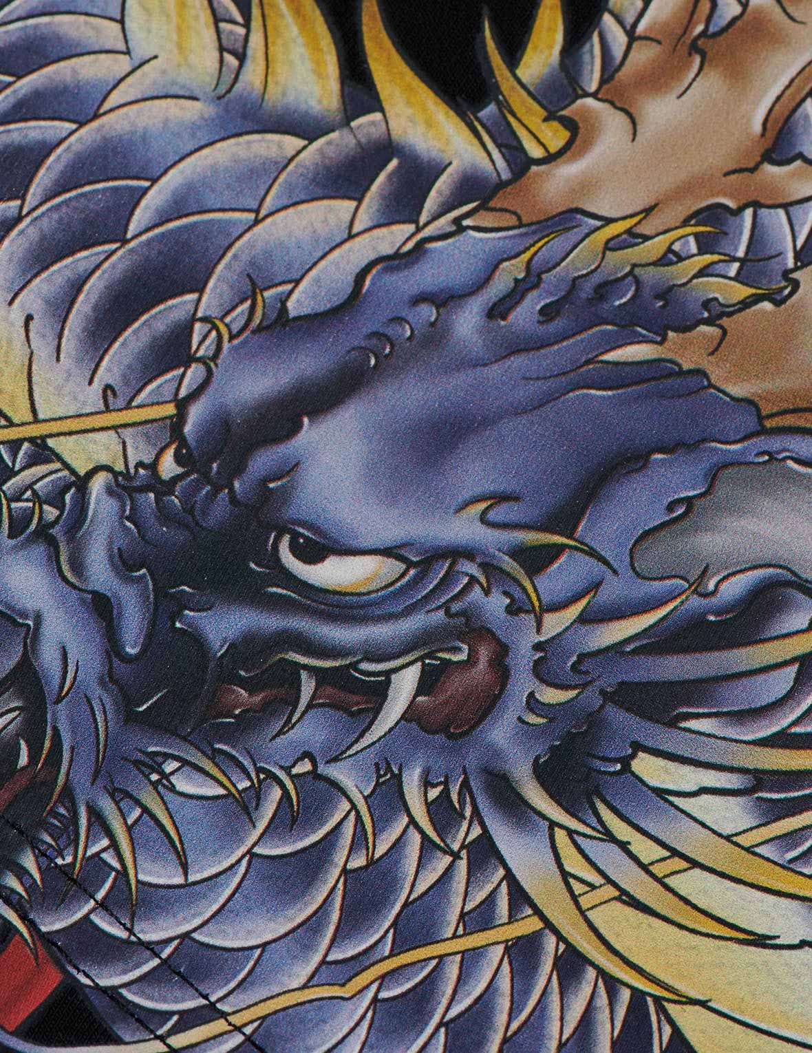 ALLOVER DRAGON PRINT TRUNKS - 7