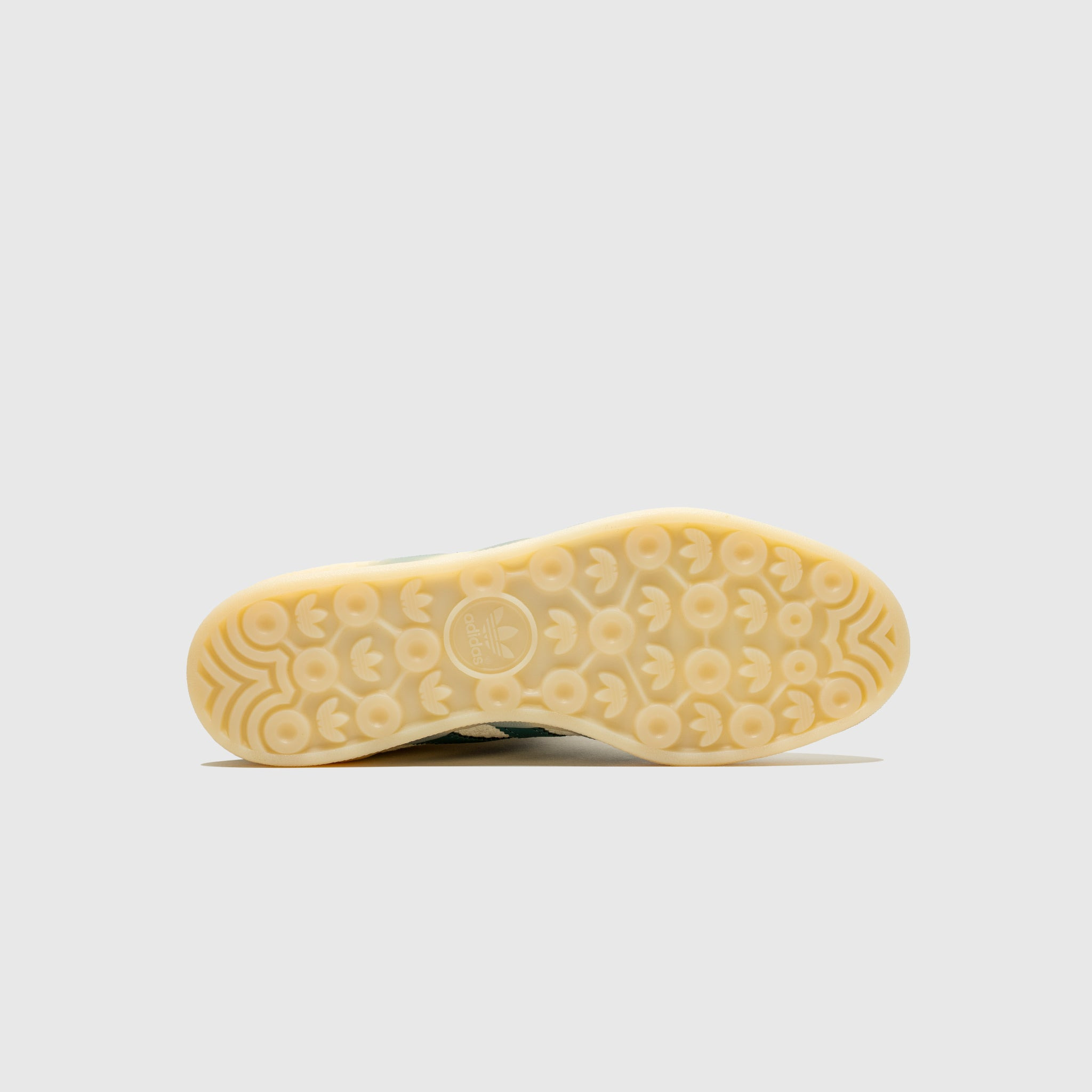 GAZELLE INDOOR - 6