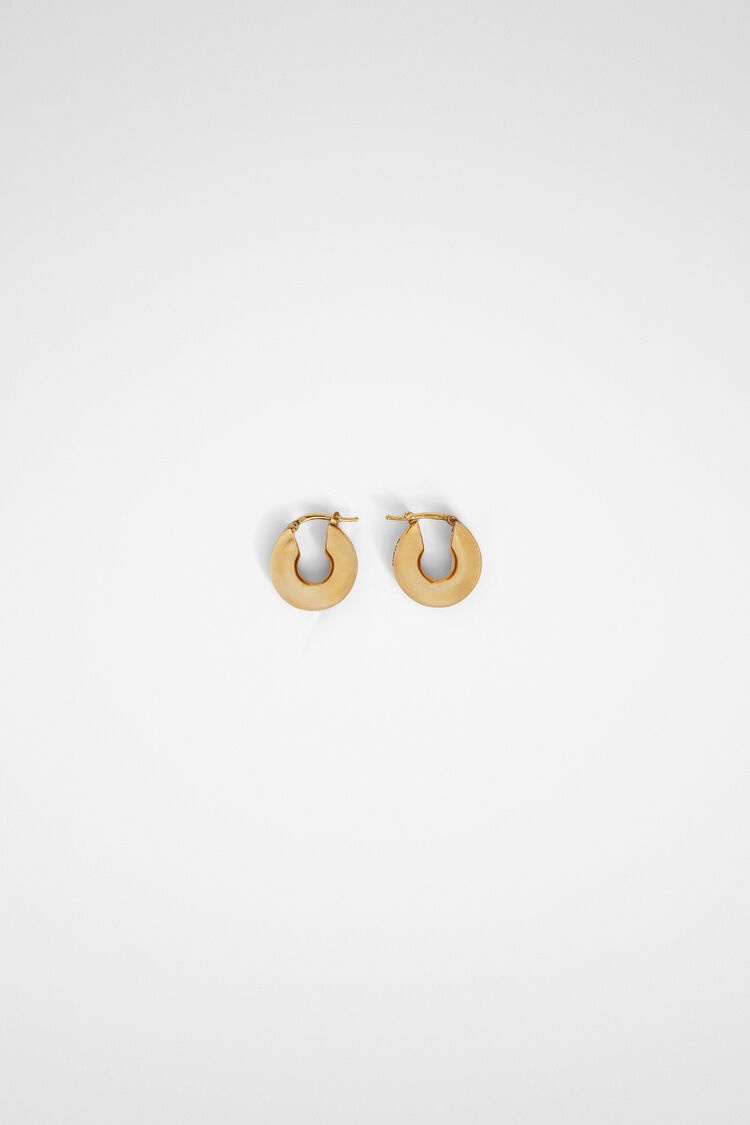 Earrings - 1