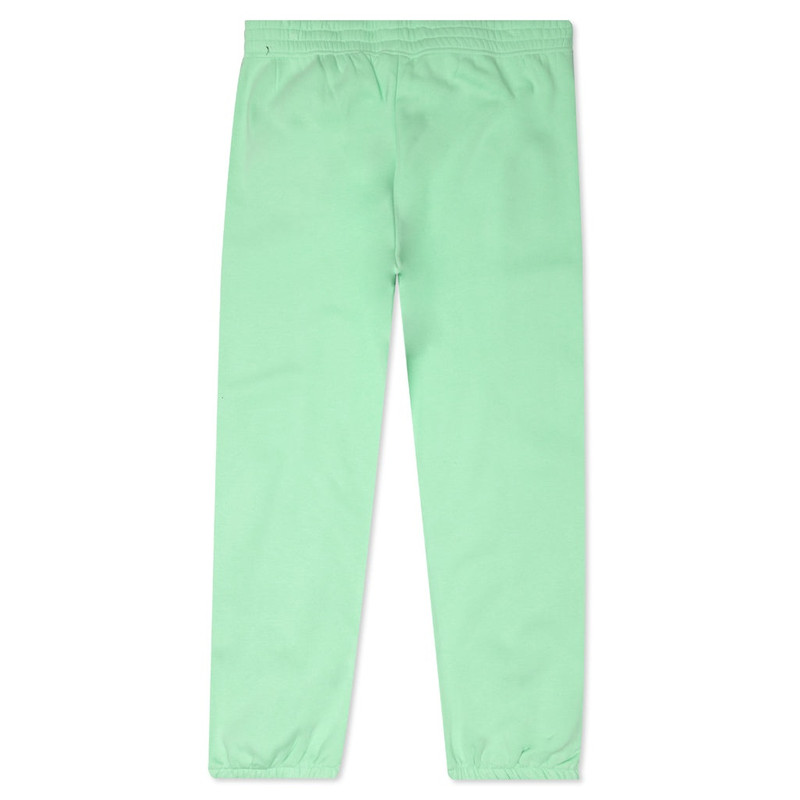 Nike NIKE SPORTSWEAR WOMEN’S ESSENTIALS FLEECE PANTS - CUCUMBER CALM/WHITE outlook