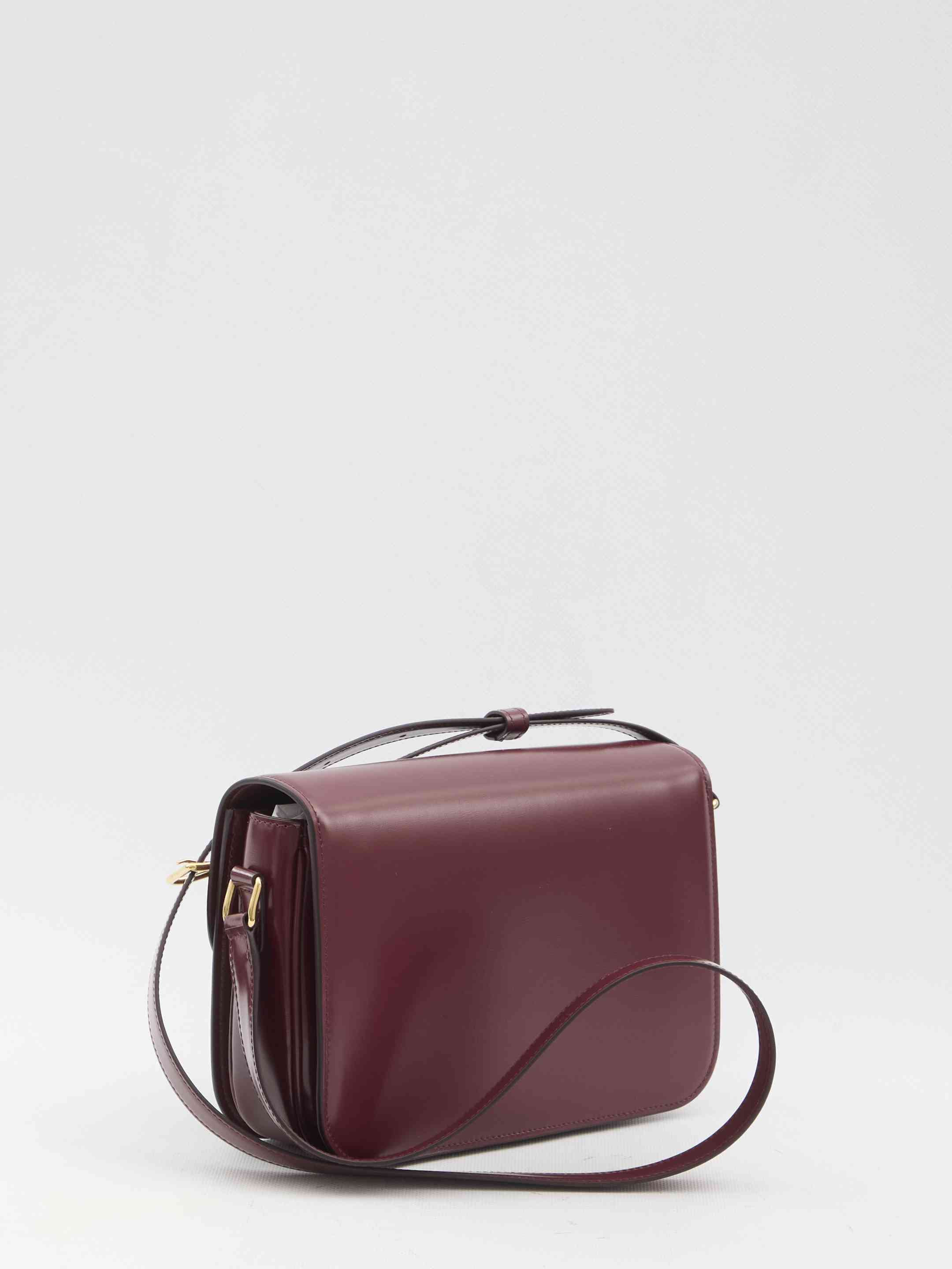 Celine Women Triomphe Classique Bag - 2