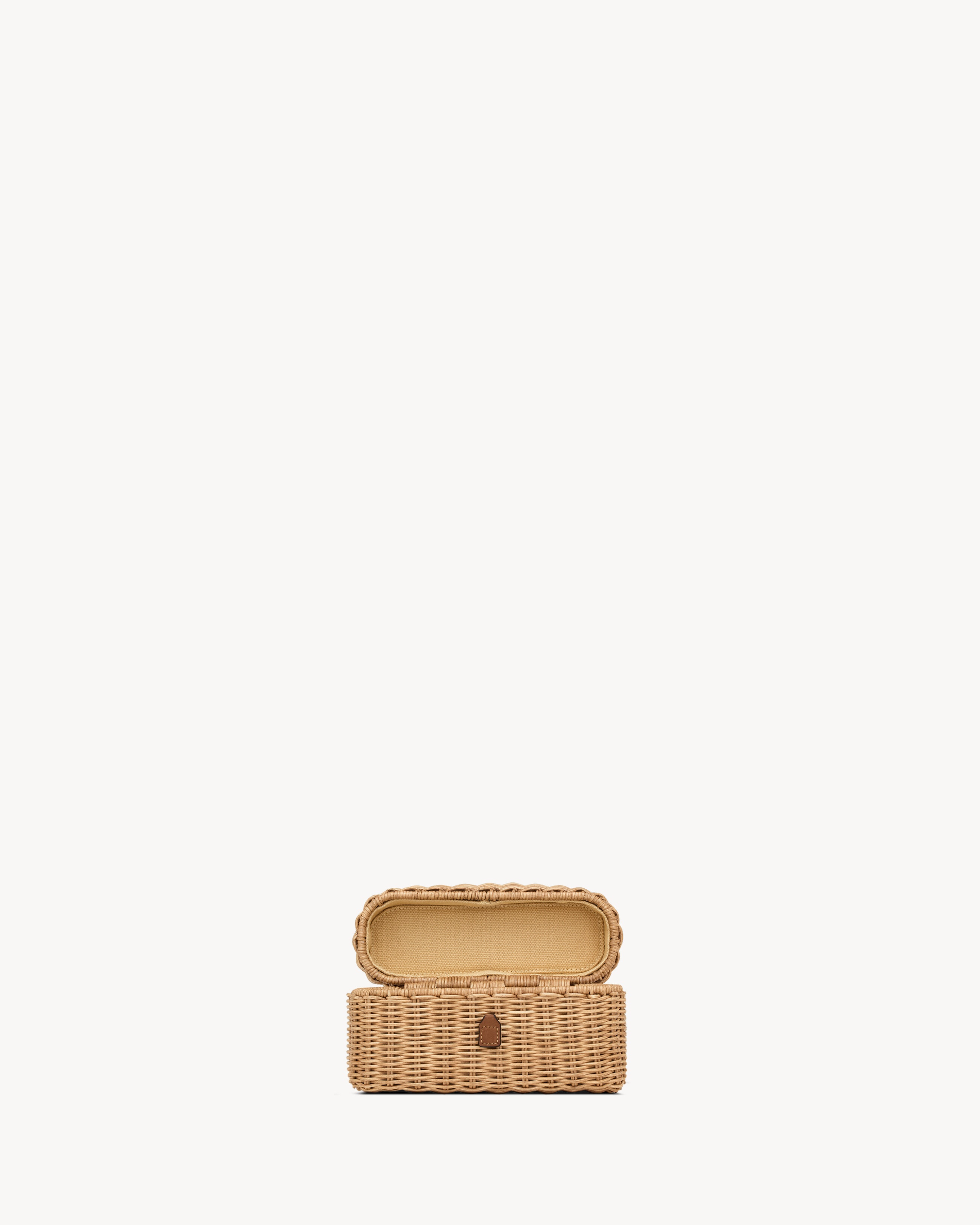 GABY VANITY BAG IN OSIER - 4