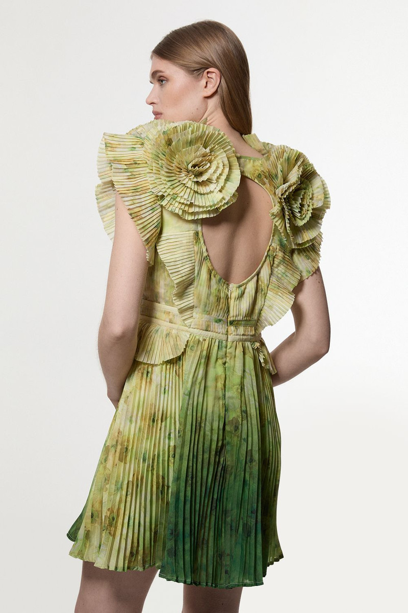 Crinkle Pleat Border Print Mini Dress With Rosette Detail 5