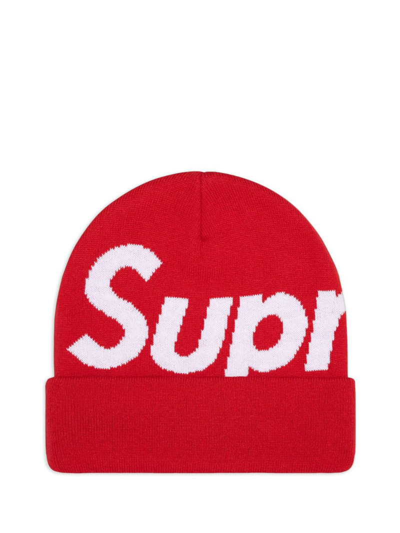 Big Logo beanie hat 1