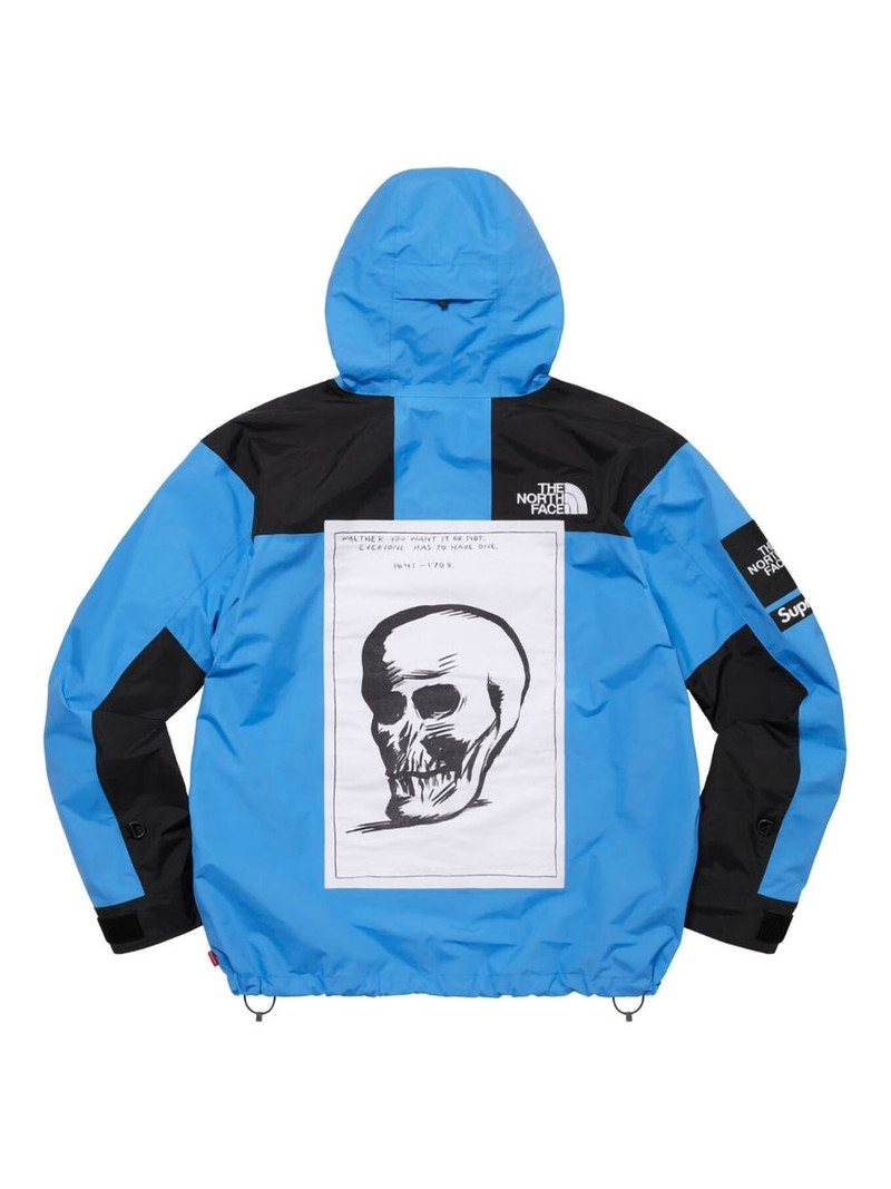 Supreme x The North Face mountain jacket outlook