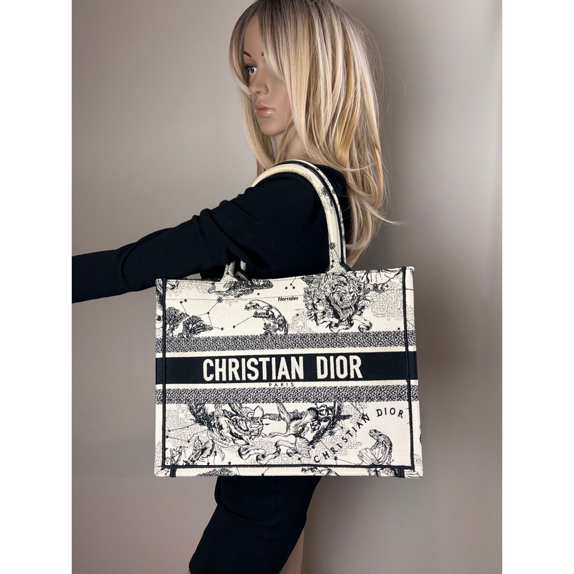 Christian Dior Book Embroidered Canvas Medium Stars and Signs Black Tote - 8