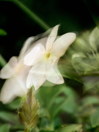 View image 10