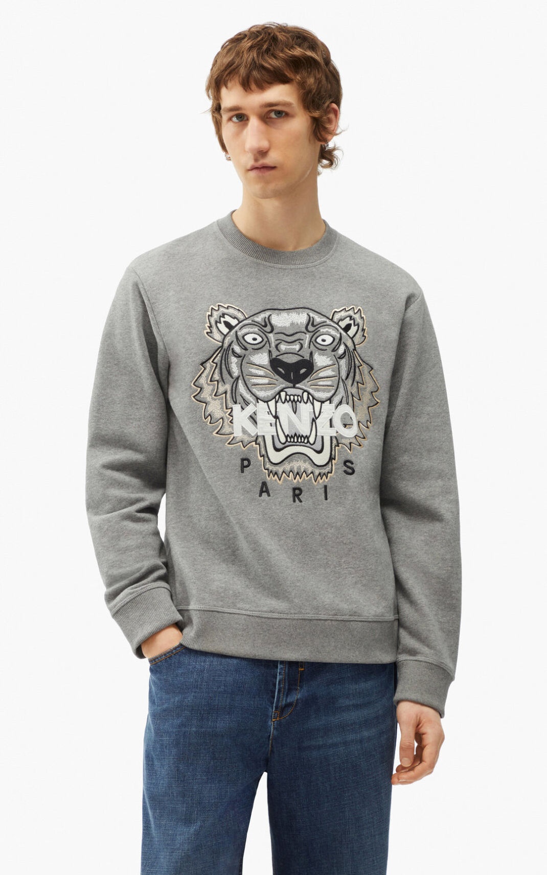 Tiger sweatshirt - 2