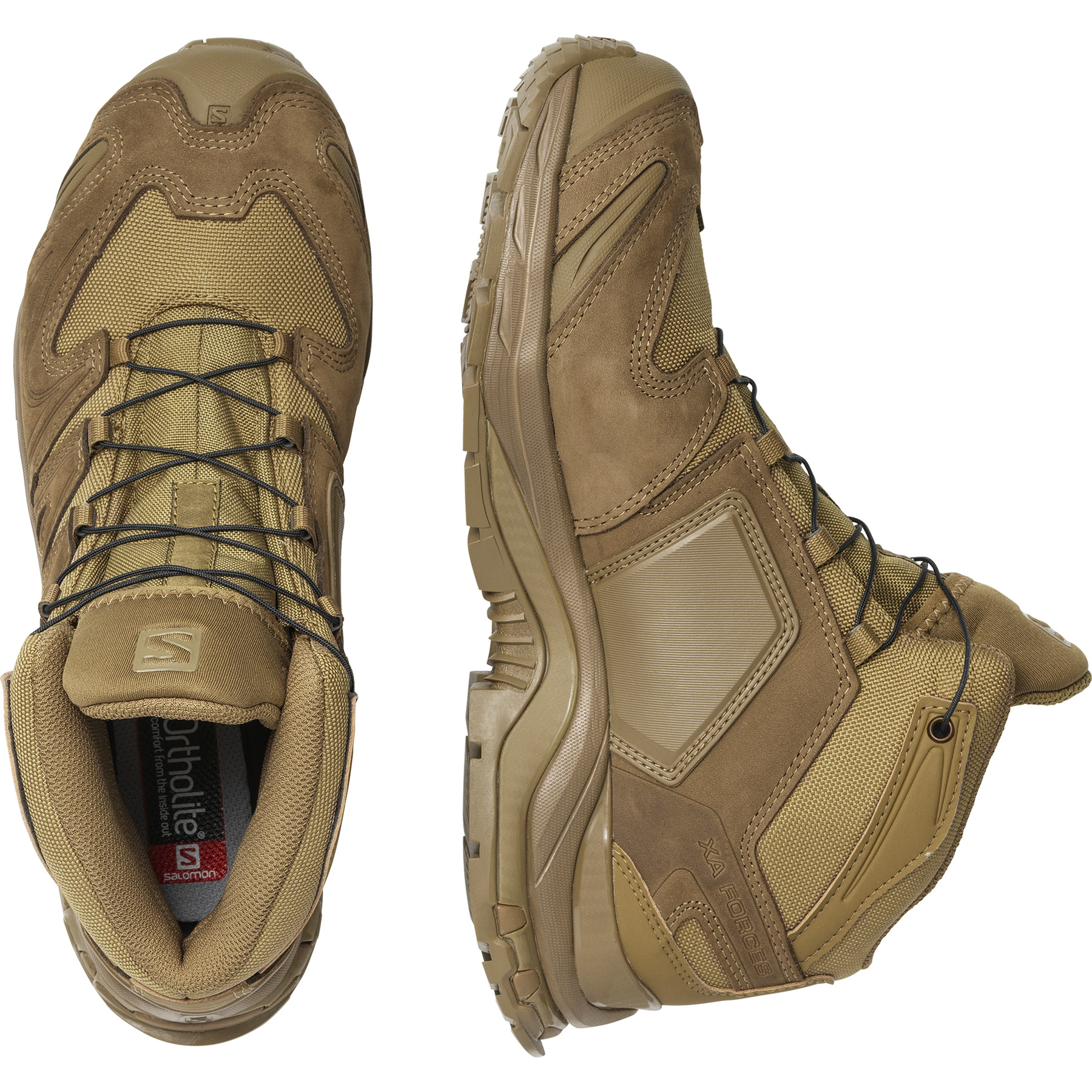 XA FORCES MID - 2