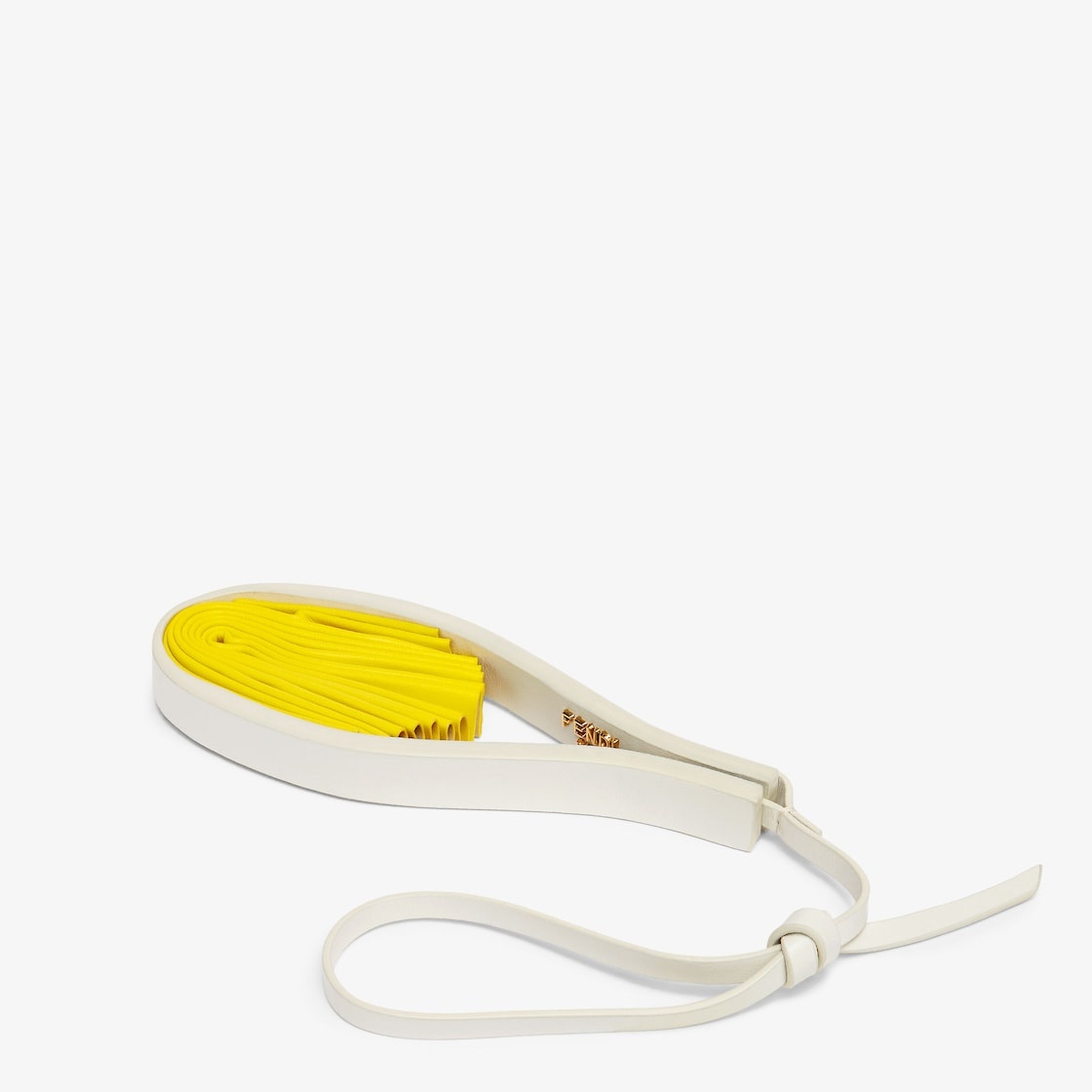 Fendi Fan - 4
