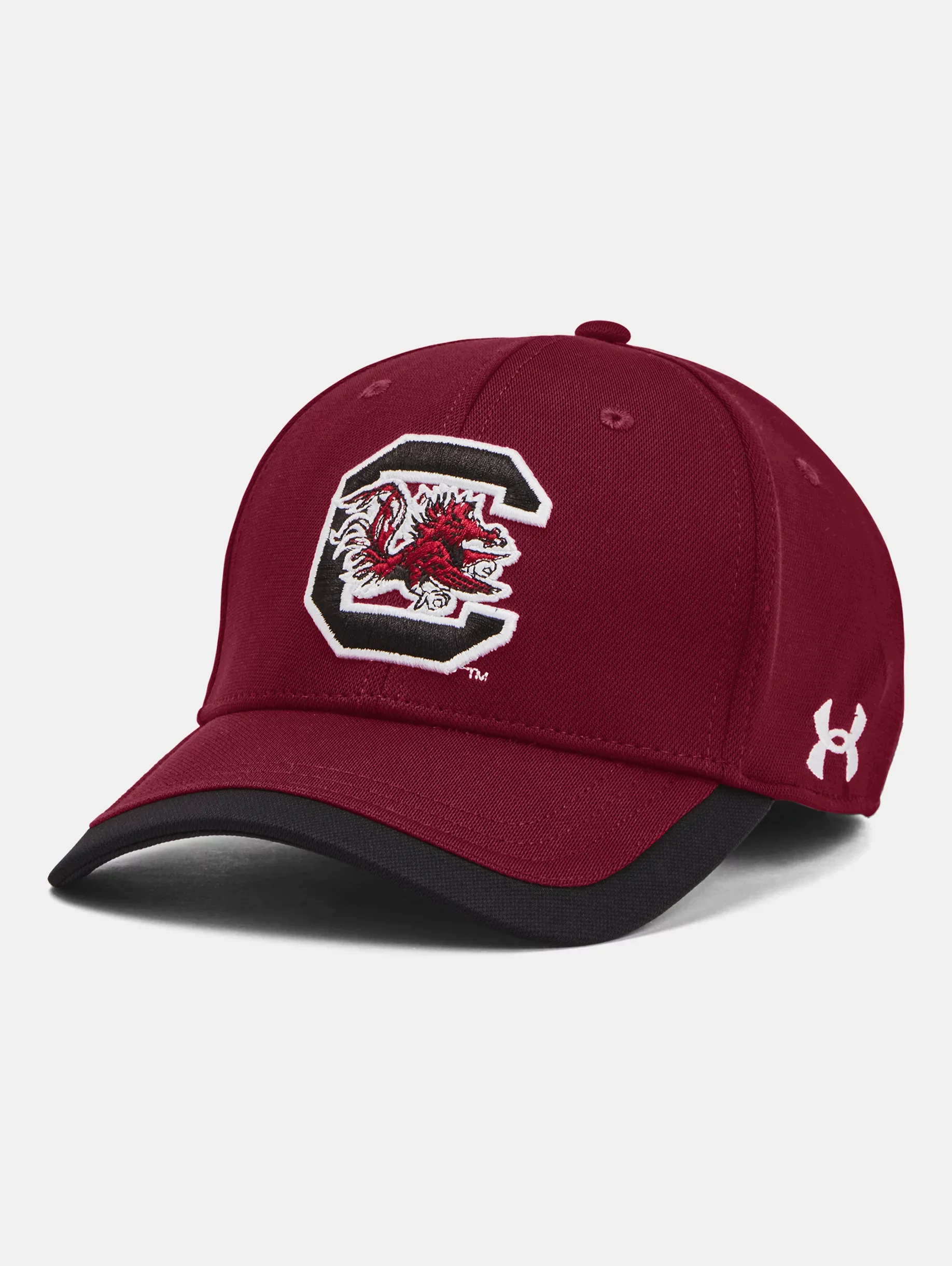 Men's UA Blitzing Collegiate Stretch Fit Hat - 1