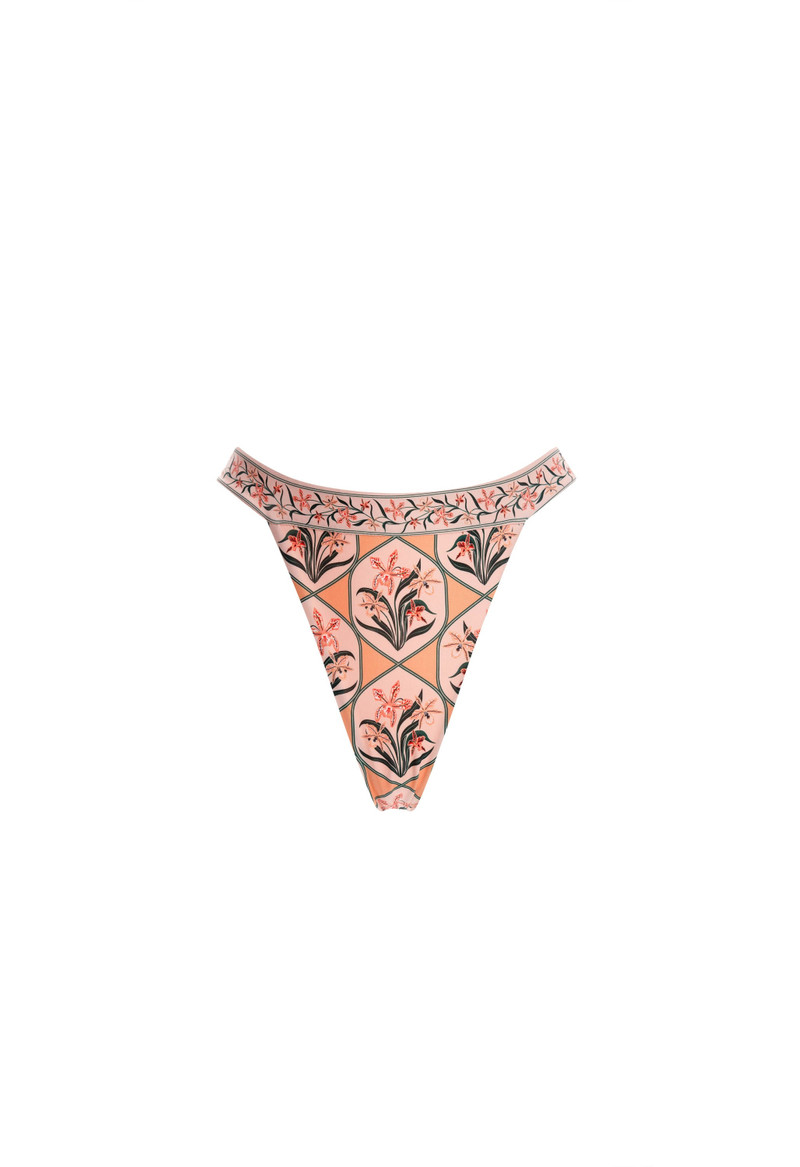 Lluvia Chan Chan Miel Bikini Bottom 1