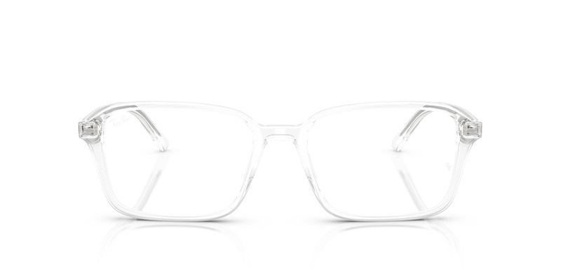 RAIMOND OPTICS 4
