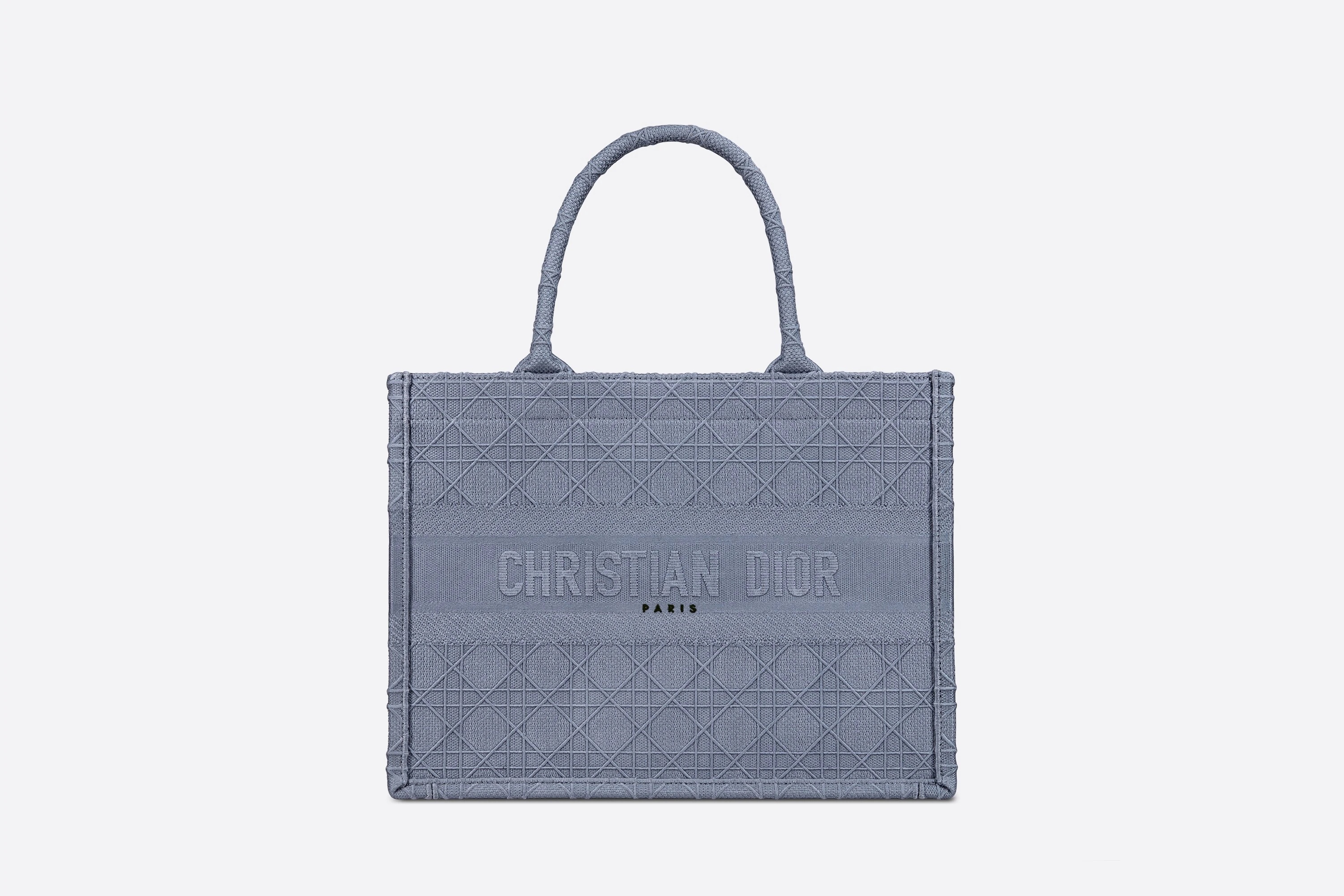 Small Dior Book Tote - 5