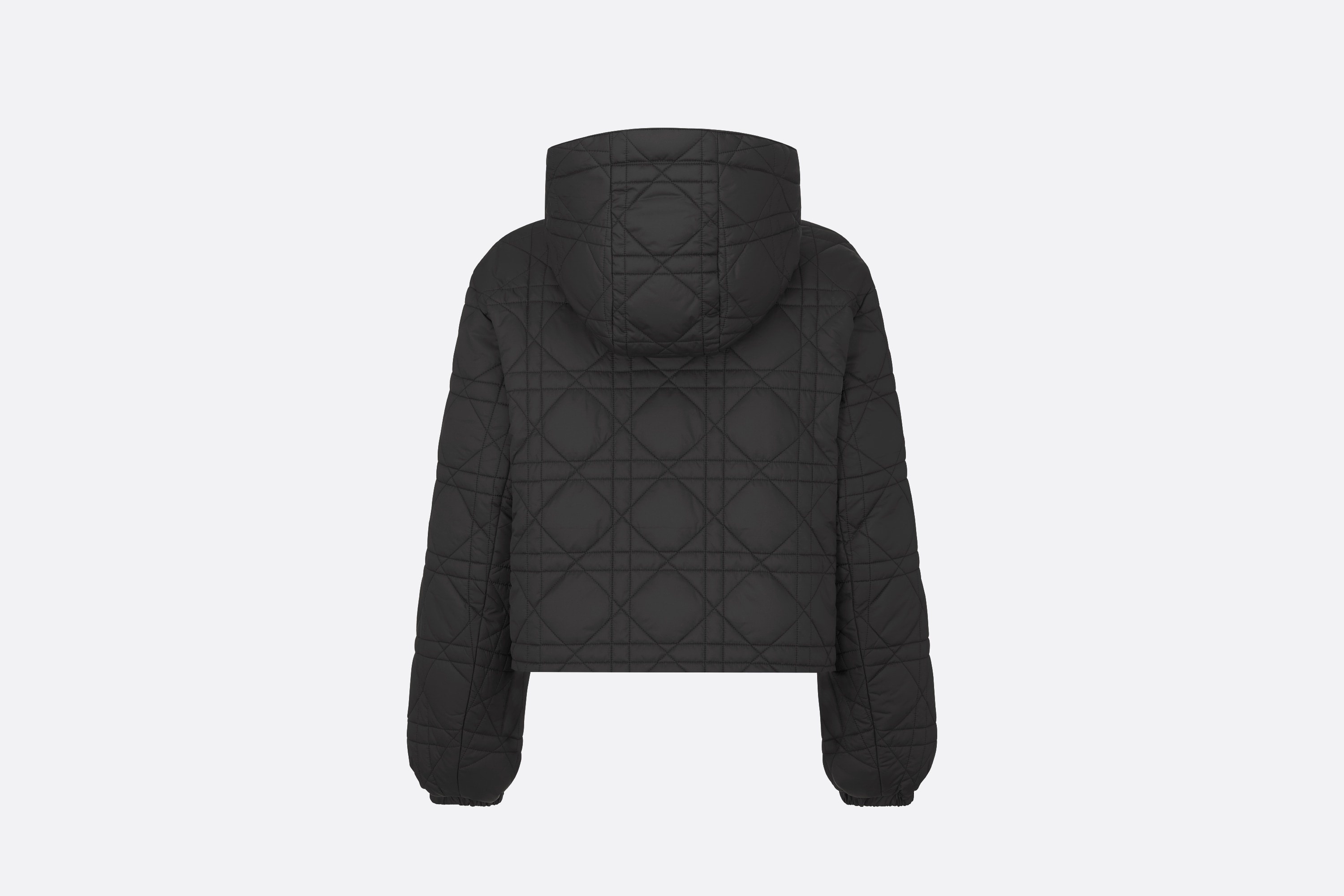 DiorAlps Macrocannage Hooded Cropped Puffer Jacket - 6