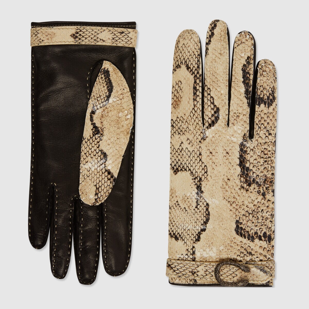 Python and leather gloves - 1