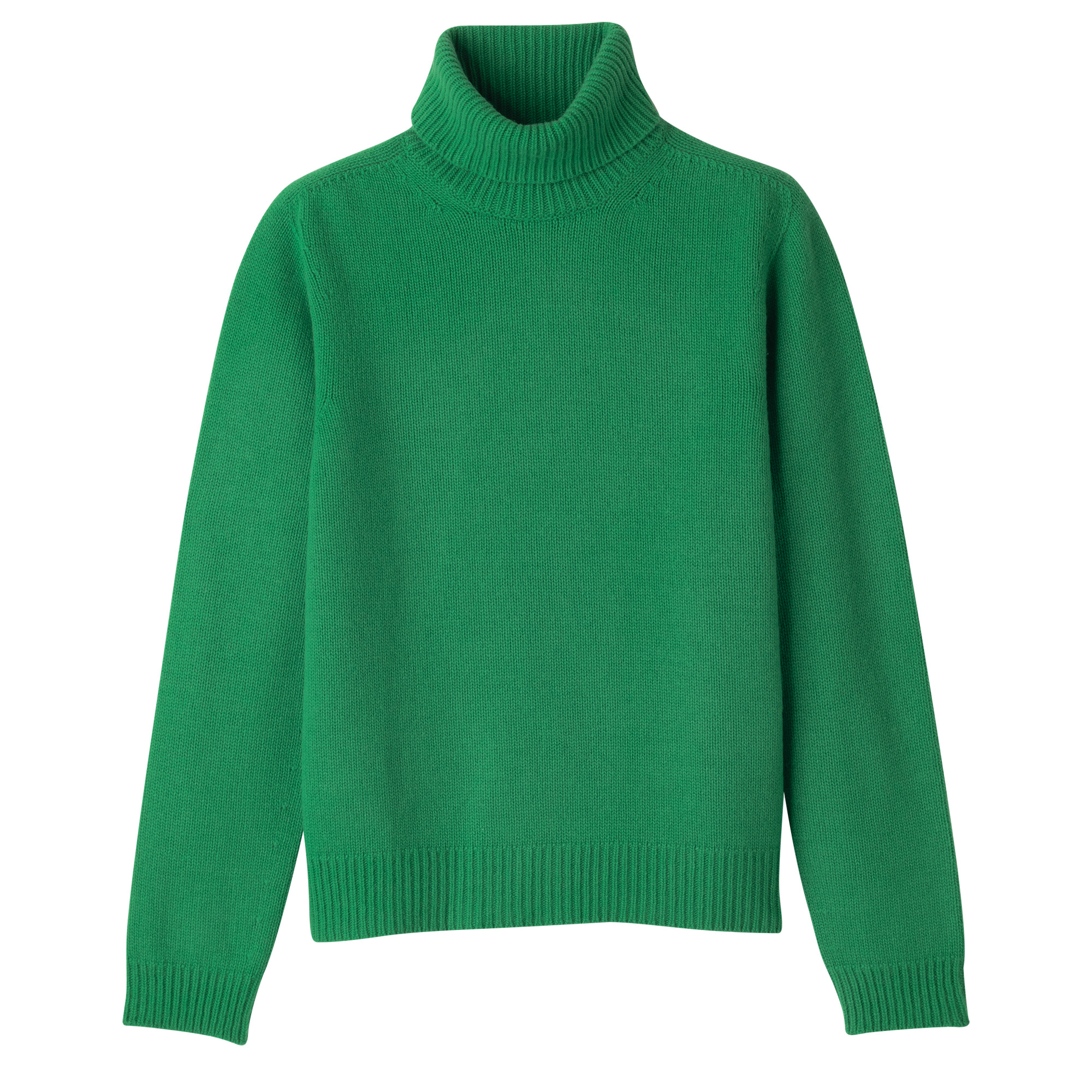 Fall-Winter 2023 Collection Turtleneck sweater Lawn - Wool - 1