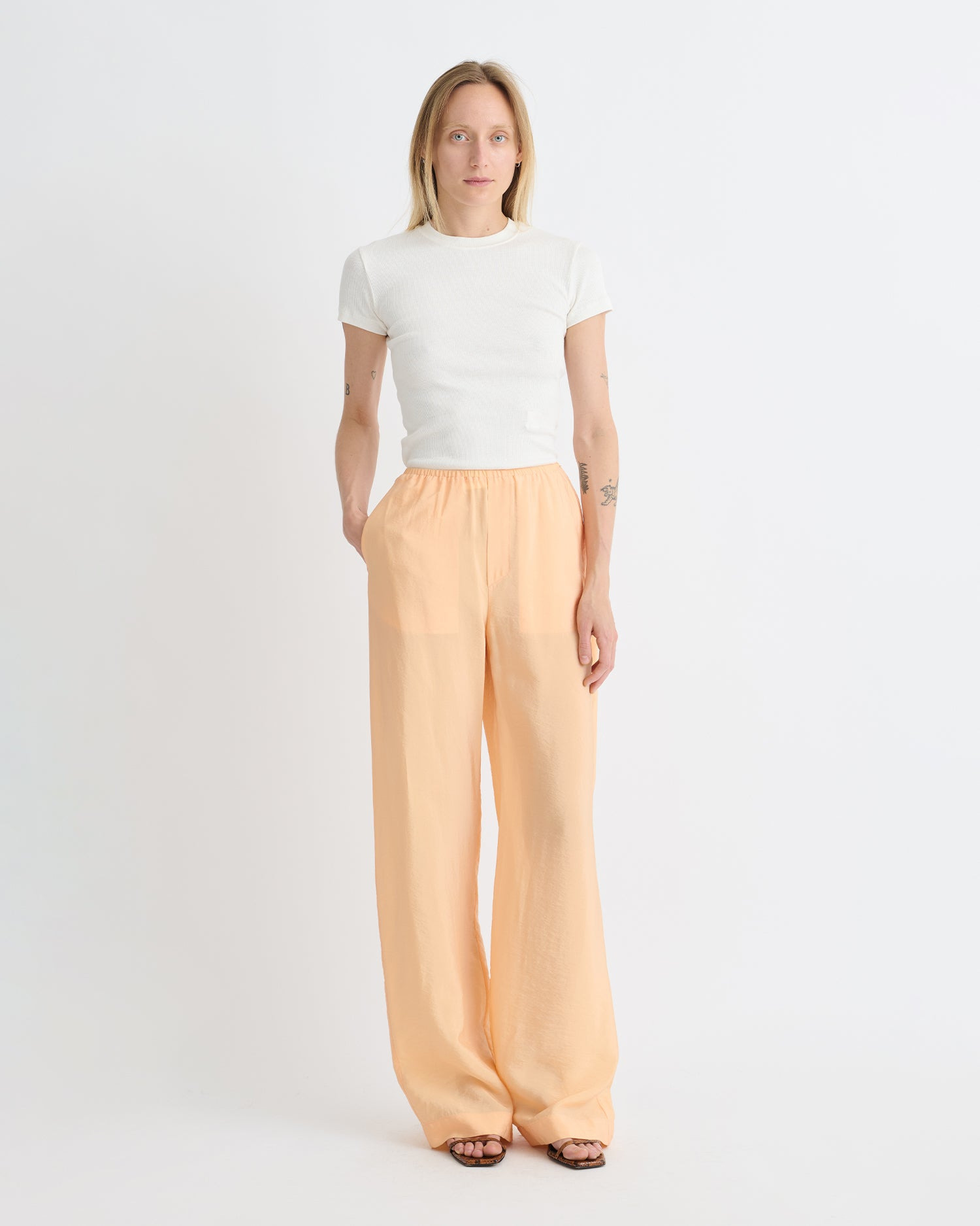 Crepe Organza Pants - 2