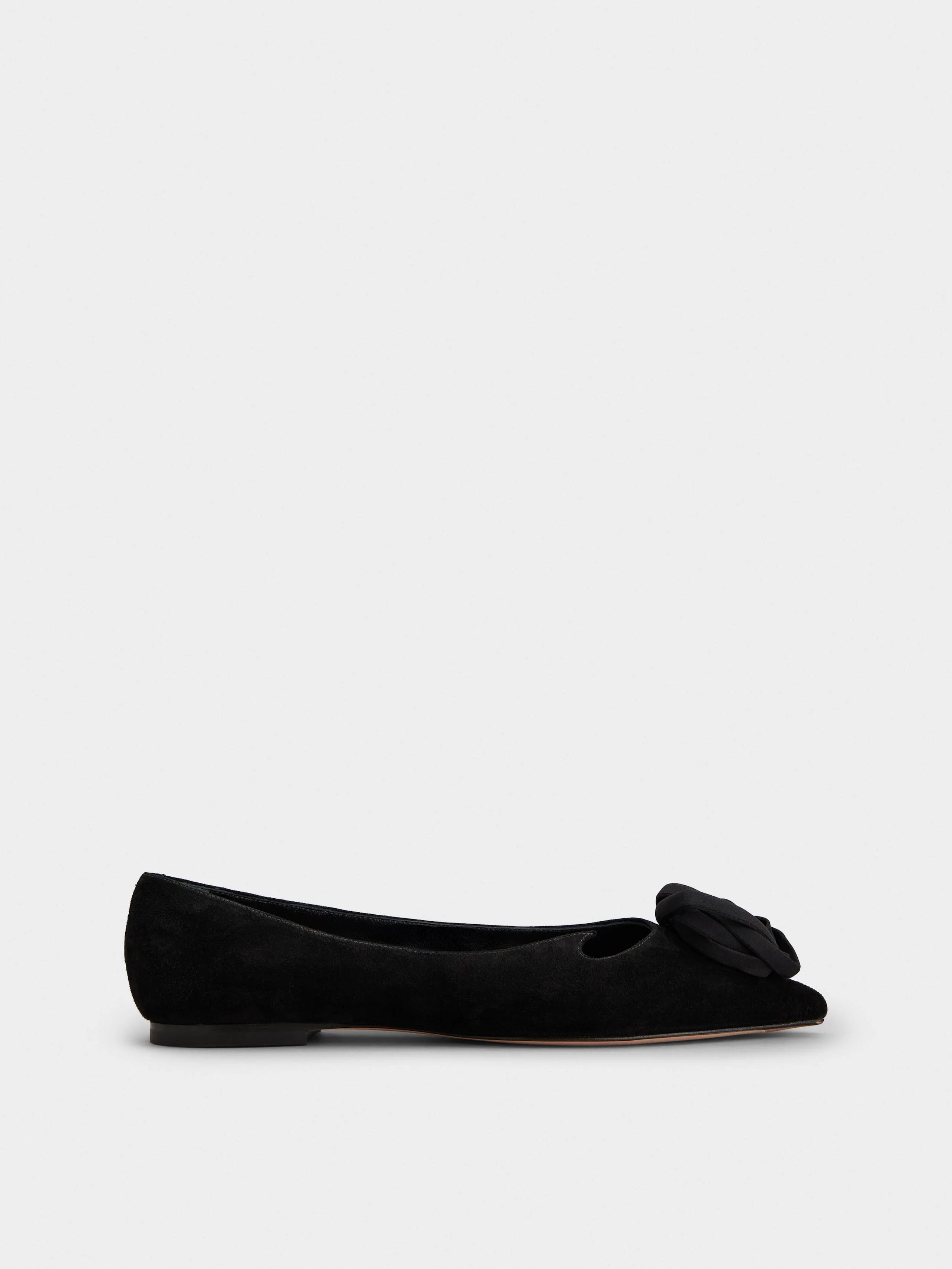 Rose Vivier Ballerinas in suede - 1