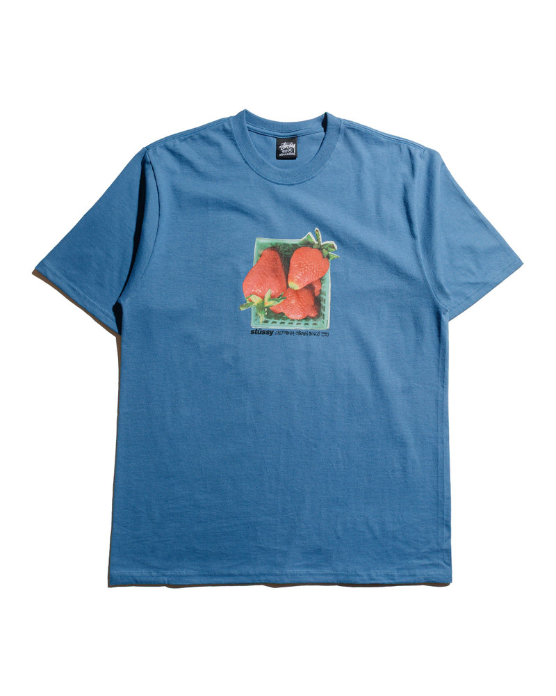 Stüssy Berries Tee Blue - 1