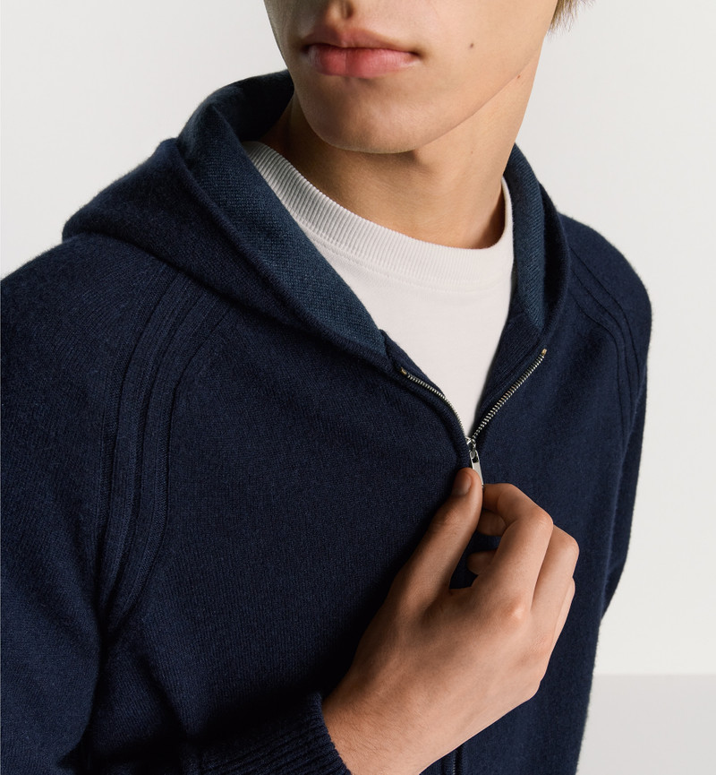 Dior Dior Icons Hooded Sweatshirt outlook