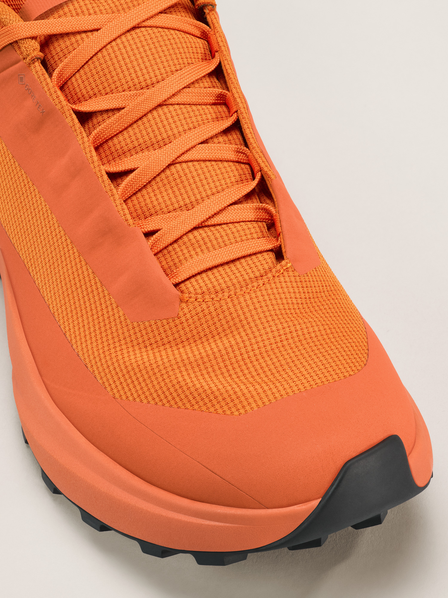 Norvan LD 4 GTX Shoe - 2