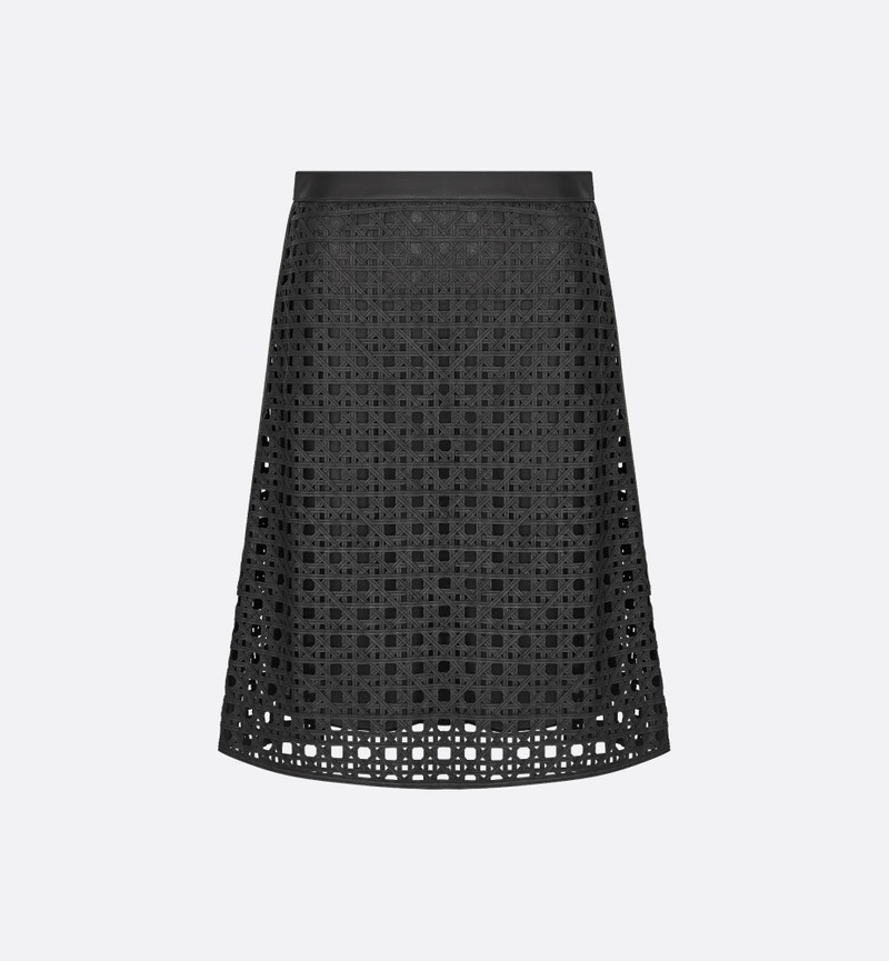 Macrocannage Skirt 1